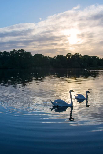 Seeglück-Eventlocation-Raum und Lage_6
